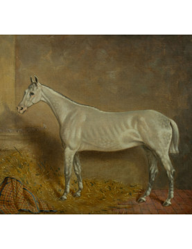 s.l.r. J Truman (Actif au XIXe siècle)  Cheval blanc dans son écurie, 1870