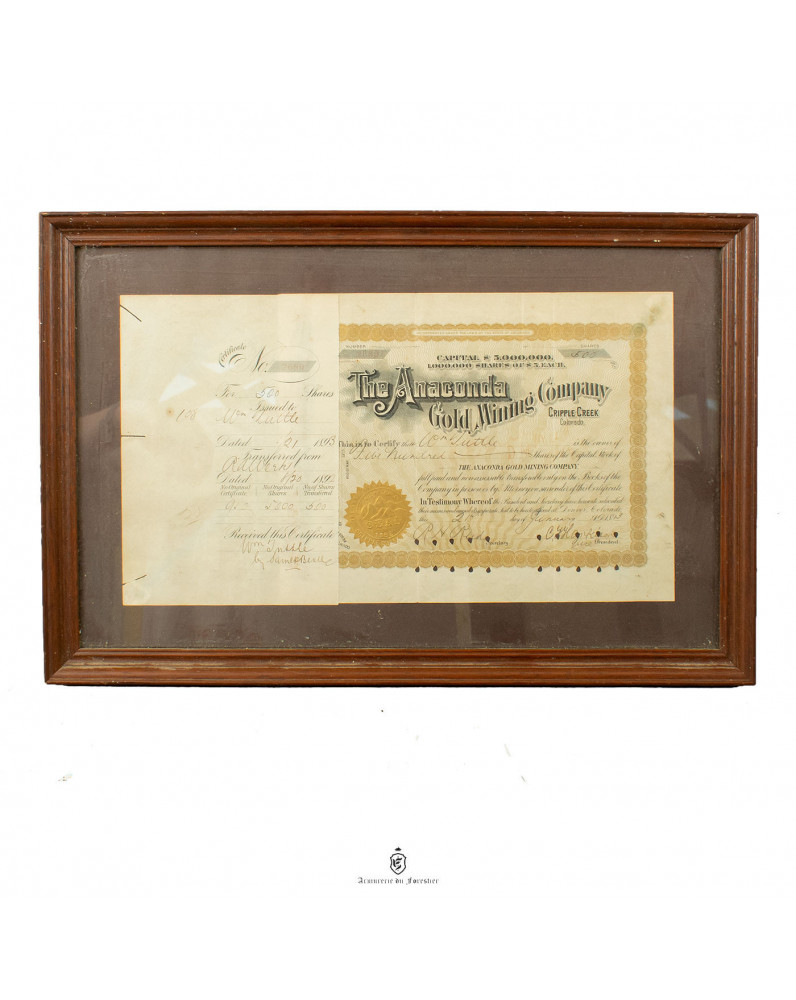 Action De La Société Anaconda Gold Mining Company Stock Certificate - Cripple Creek, Colorado - USA - 1893